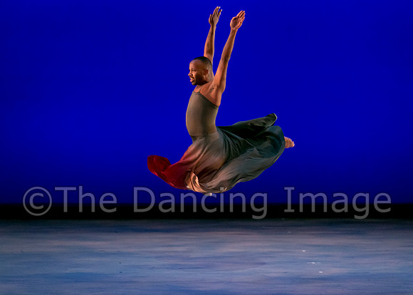 Houston METdance-3003