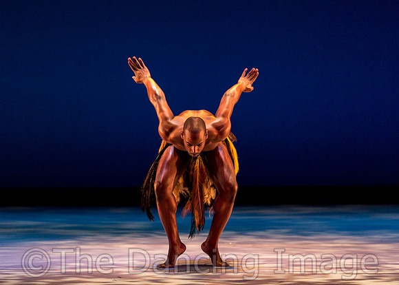 Awassa Astrige Ostrich-0333