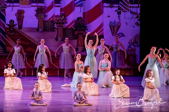 CCBT Nutcracker 19 pc Sharen Bradford-5358