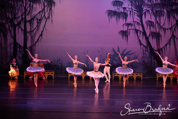 TDC La Bayadere pc Sharen Bradford-3124
