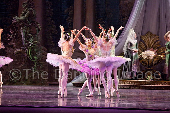 TB Sleeping Beauty Wed.-0097