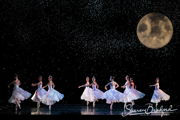 Nutcracker matinee pc Sharen Bradford-5213