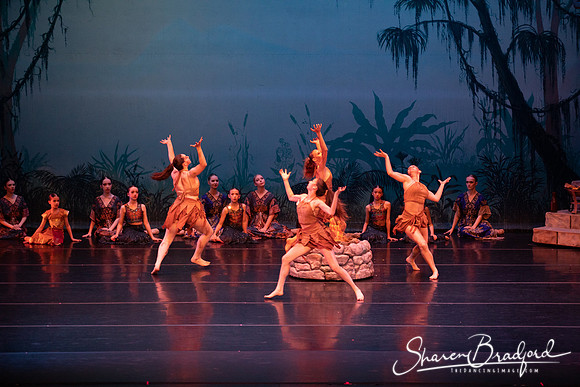 TDC La Bayadere pc Sharen Bradford-2495