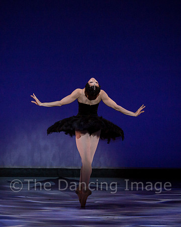 Olga Pavlova_The Dying Swan-3915