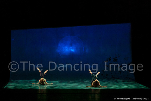 Motionhouse SCATTERED-0326