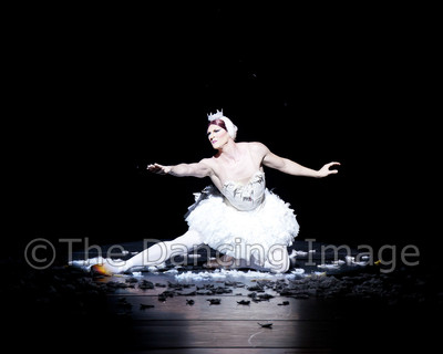 Dying Swan-0564