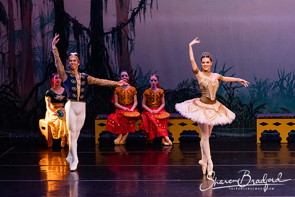 TDC La Bayadere pc Sharen Bradford-3099