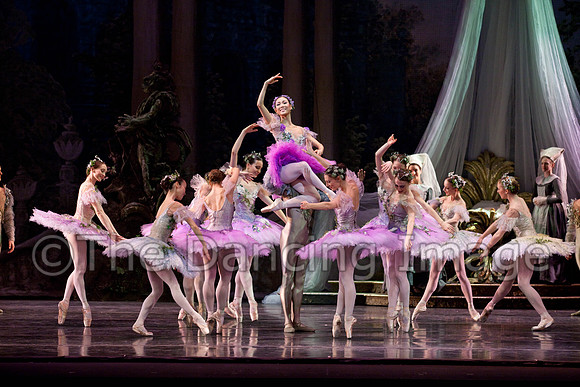 TB Sleeping Beauty Wed.-0039