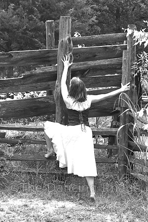 Penn Farm-0824