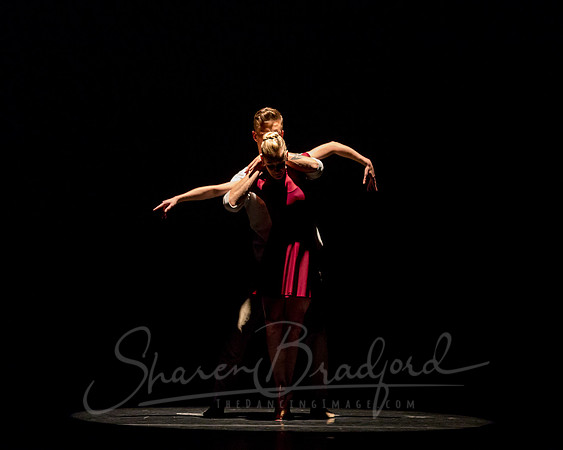 Falling Light pc Sharen Bradford-0540