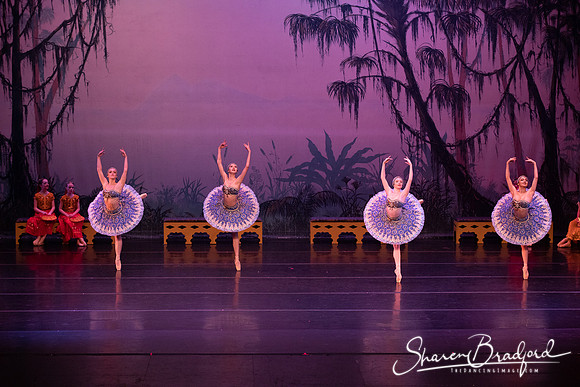 TDC La Bayadere pc Sharen Bradford-3094