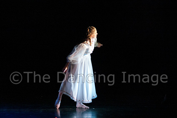 Chamberlain 2011 Sat-0765