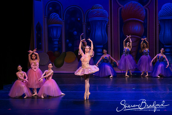 Waltz of the Flowers pc Sharen Bradford-1763
