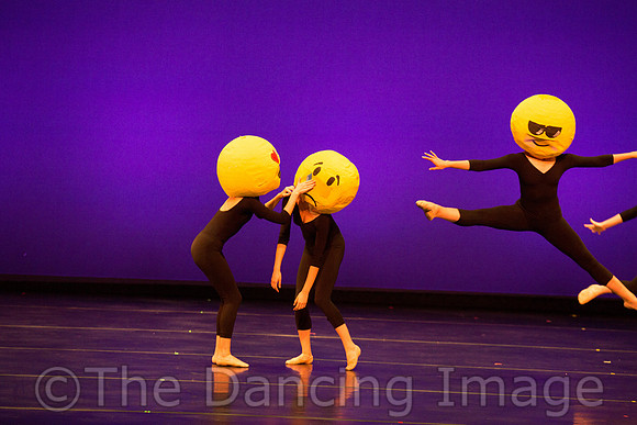 Ballet Ensemble of Texas-1517