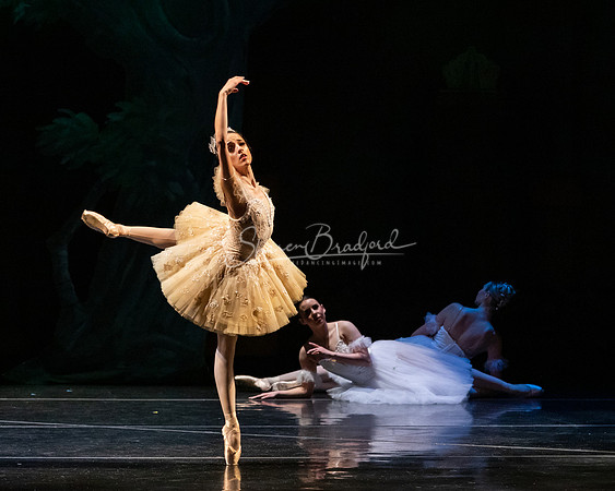 Ballet NTX Sleeping Beauty pc Sharen Bradford-1432
