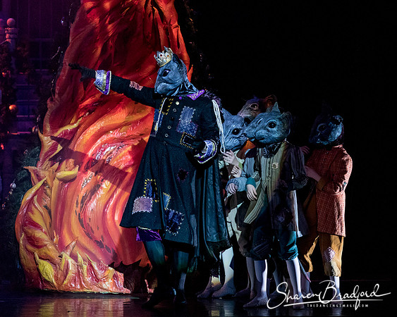 Nutcracker matinee pc Sharen Bradford-4798
