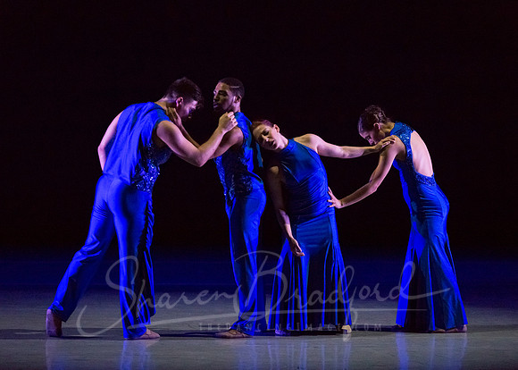 Following Echoes - pc Sharen Bradford-3345