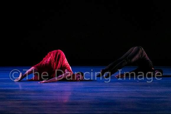 Chado Danse-2814