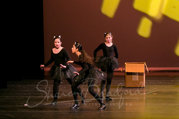 Feline Beat-2583