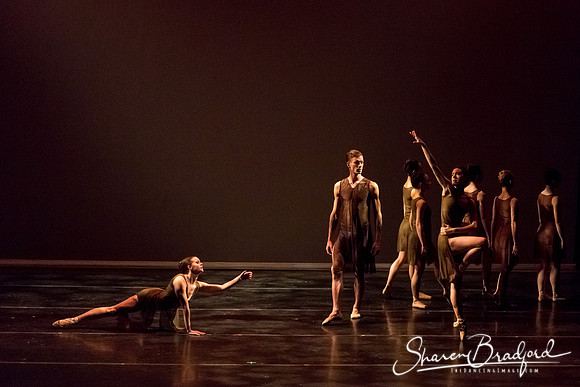 Ballet Dallas Seasons pc Sharen Bradford-1366