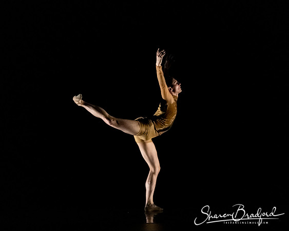 ASFB Beautiful Decay pc Sharen Bradford-0149