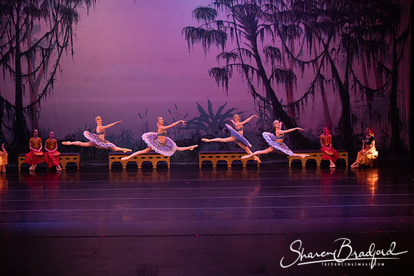 TDC La Bayadere pc Sharen Bradford-3087