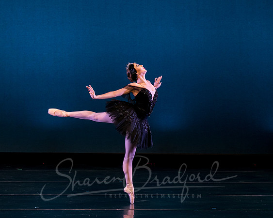 Texas Ballet Theater pc Sharen Bradford-1570