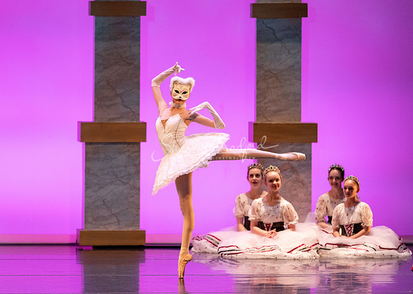 Ballet NTX Sleeping Beauty pc Sharen Bradford-1739