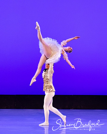 TBT Sleeping Beauty Pas pc Sharen Bradford-1417
