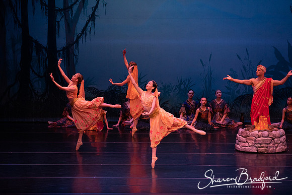 TDC La Bayadere pc Sharen Bradford-2458