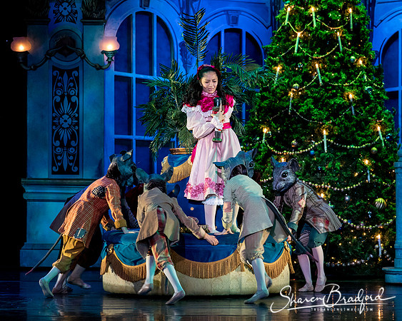 Nutcracker matinee pc Sharen Bradford-4710