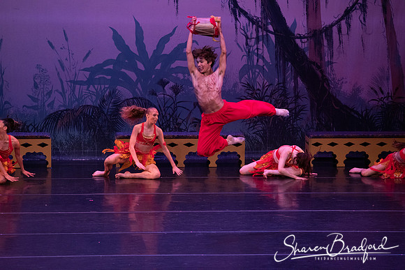 TDC La Bayadere pc Sharen Bradford-2996