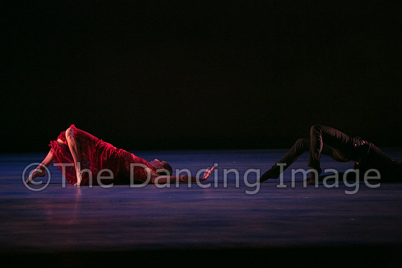 Chado Danse-2816