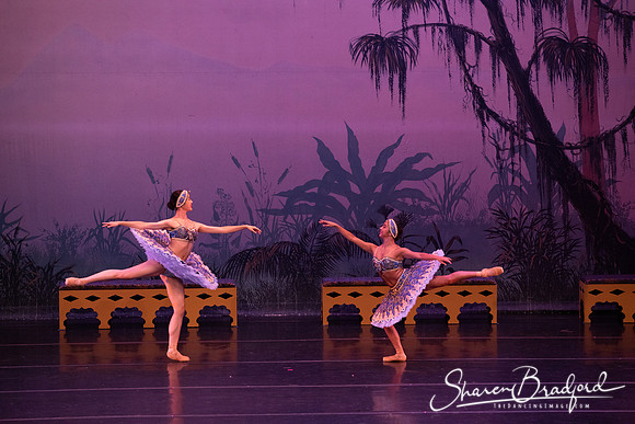 TDC La Bayadere pc Sharen Bradford-2935