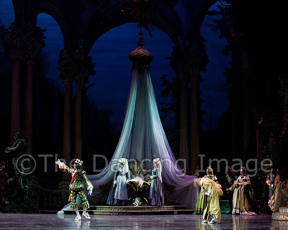 TB Sleeping Beauty Wed.-0006