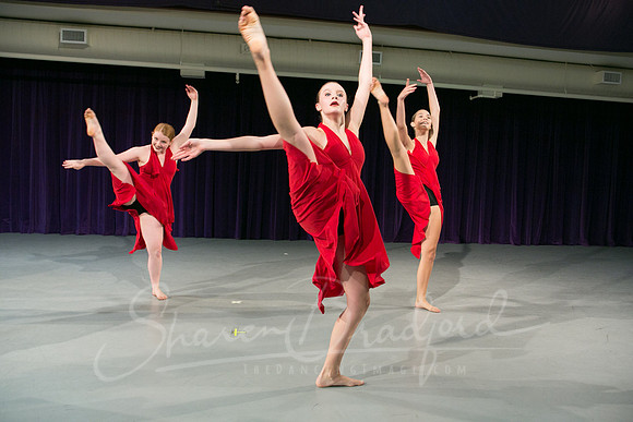 Rockettes pc Sharen Bradford-2143
