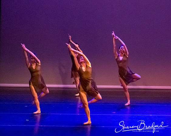 Ballet Dallas Seasons pc Sharen Bradford-1502