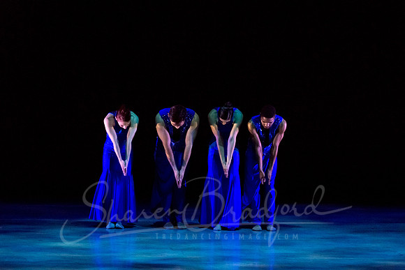 Following Echoes - pc Sharen Bradford-3372