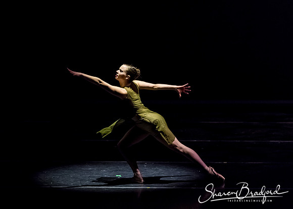 Ballet Dallas Seasons pc Sharen Bradford-1345