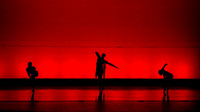 Lula Washington Dance-1267