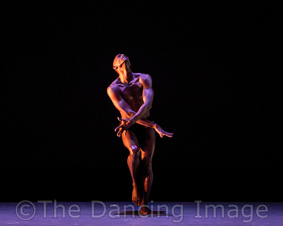 Alvin Ailey ADT-2330