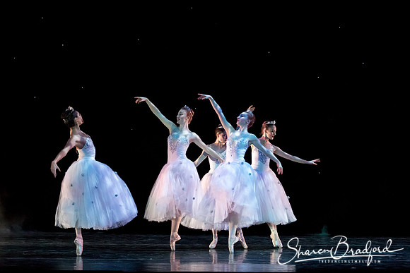 ASFB Nutcracker pc Sharen Bradford-0097