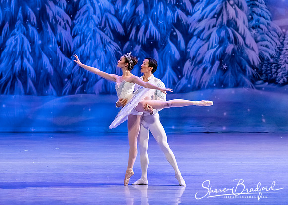 CCBT Nutcracker 19 pc Sharen Bradford-4830