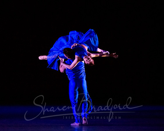Following Echoes - pc Sharen Bradford-3468
