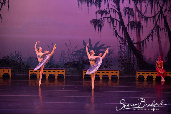 TDC La Bayadere pc Sharen Bradford-3067