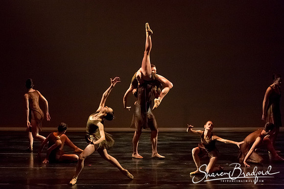 Ballet Dallas Seasons pc Sharen Bradford-1420