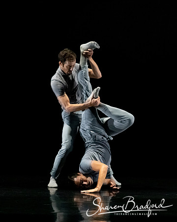 Resolve pc Sharen Bradford-1406