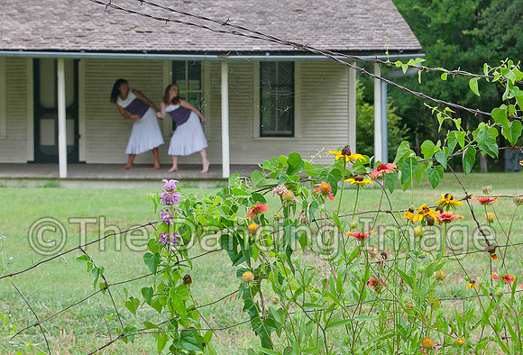 Penn Farm-0895