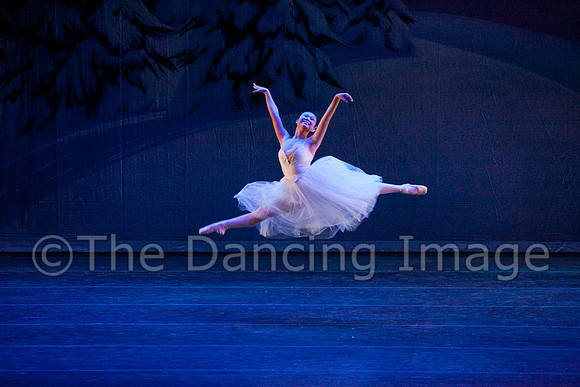Snow-0859