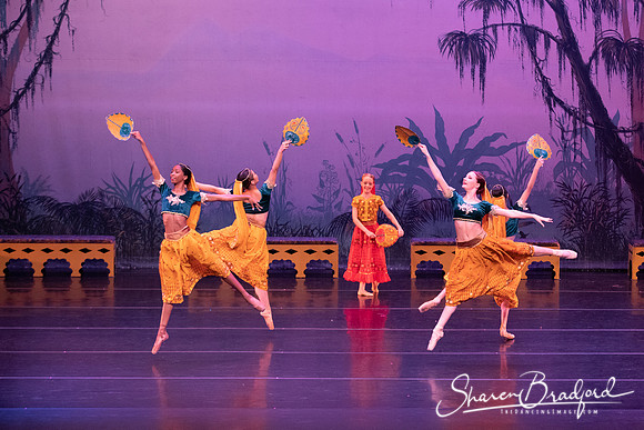 TDC La Bayadere pc Sharen Bradford-2877